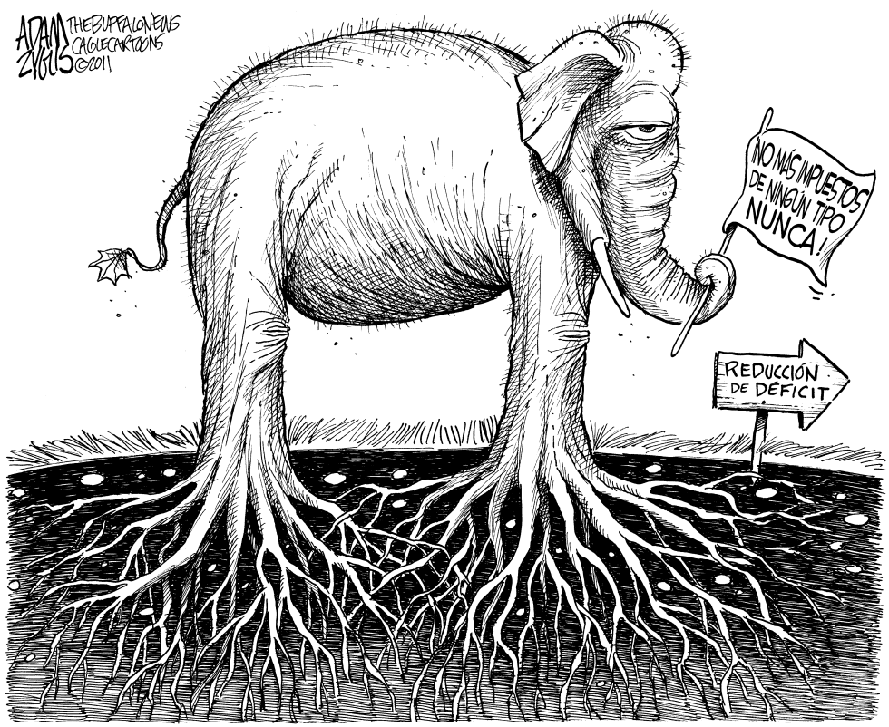 Raices del Elefante
