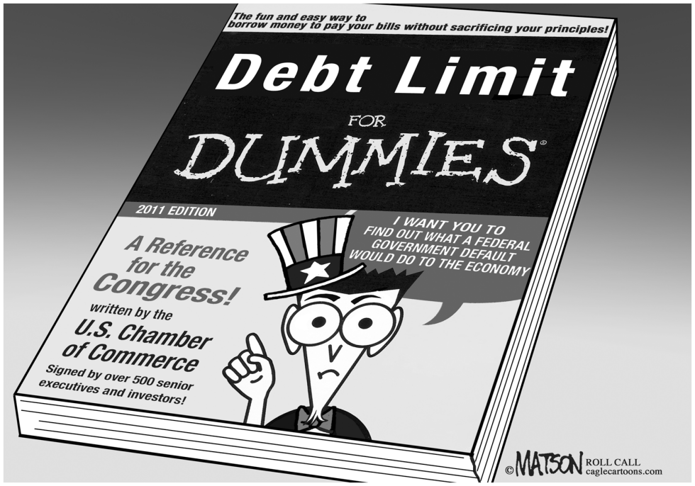  DEBT LIMIT FOR DUMMIES by RJ Matson