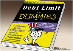 DEBT LIMIT FOR DUMMIES by R.J. Matson