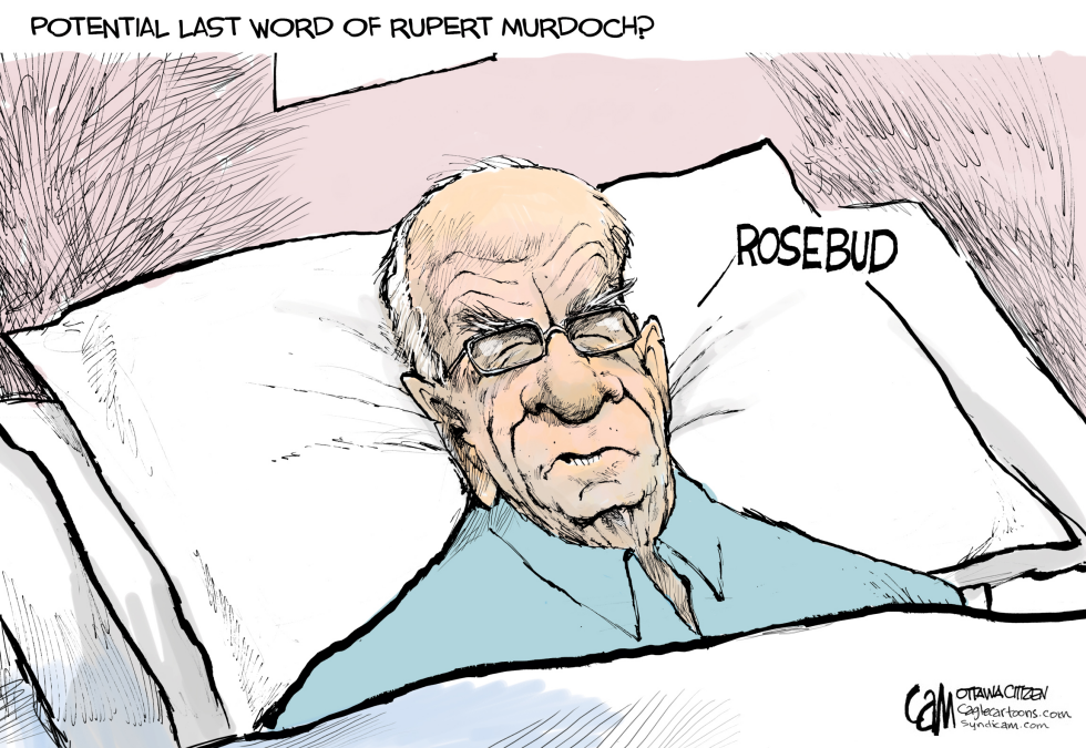 Last Word COLOR
