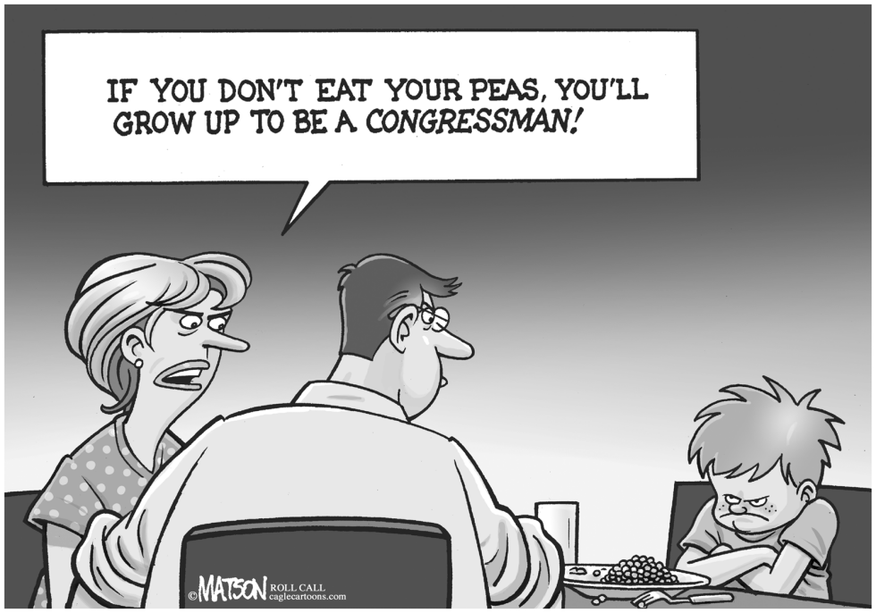 The Adults In The Room
