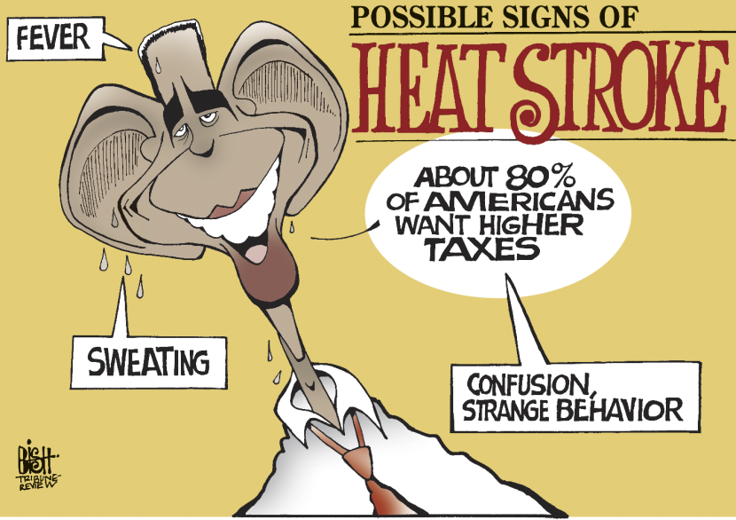 THE HEAT GETS TO OBAMA, COLOR