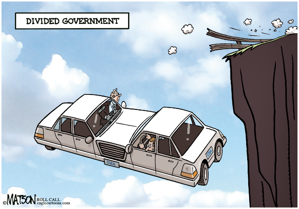 Divided Government-COLOR