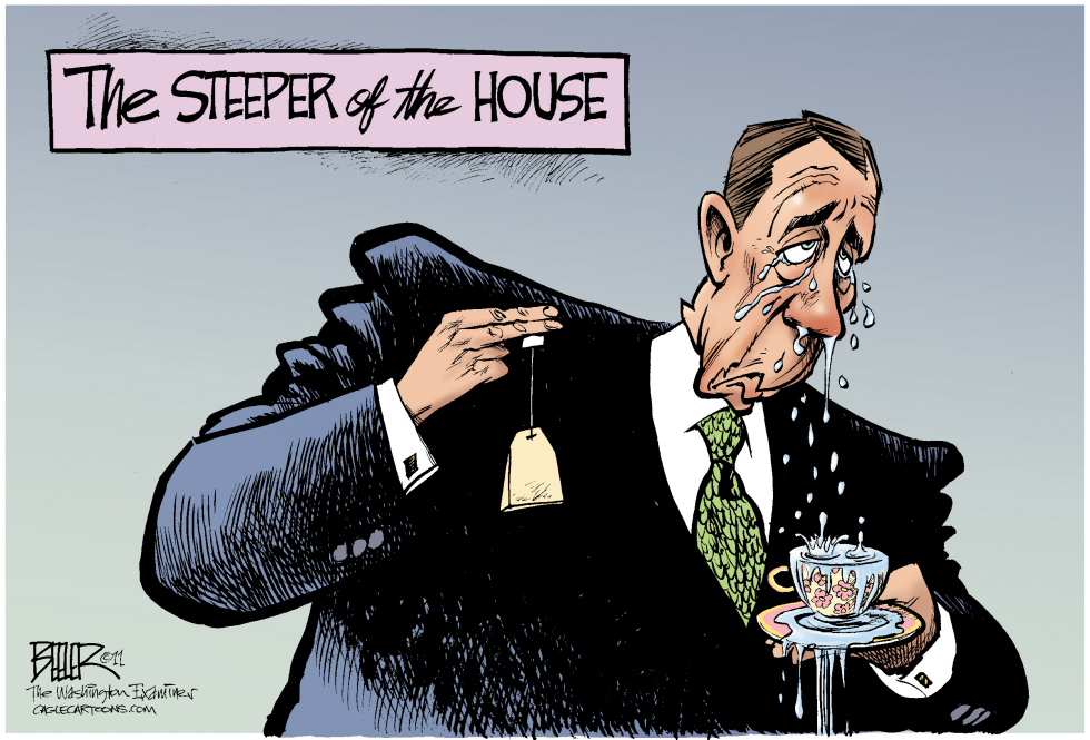 Tea Party Troubles COLOR