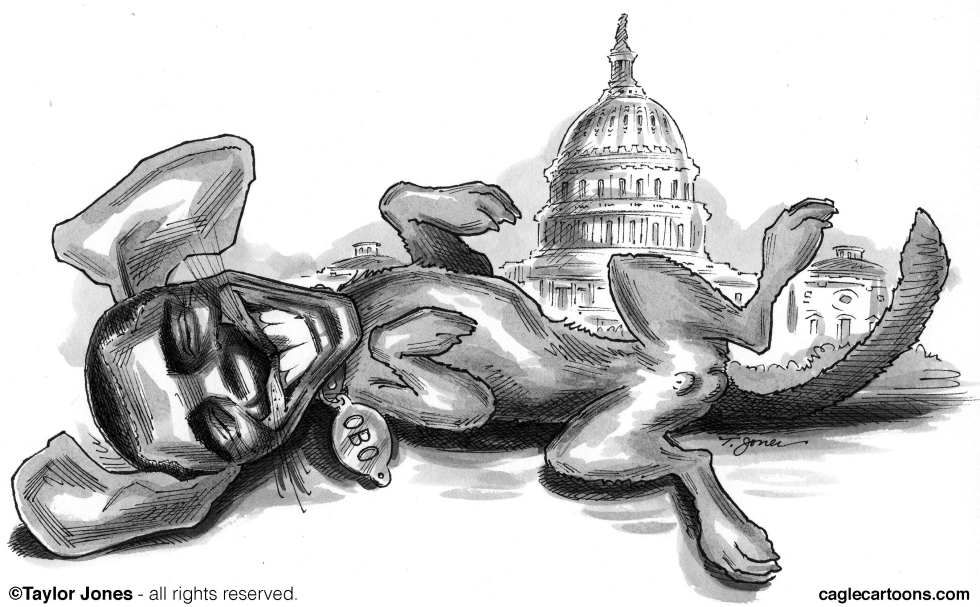 Obama - Republicans best friend