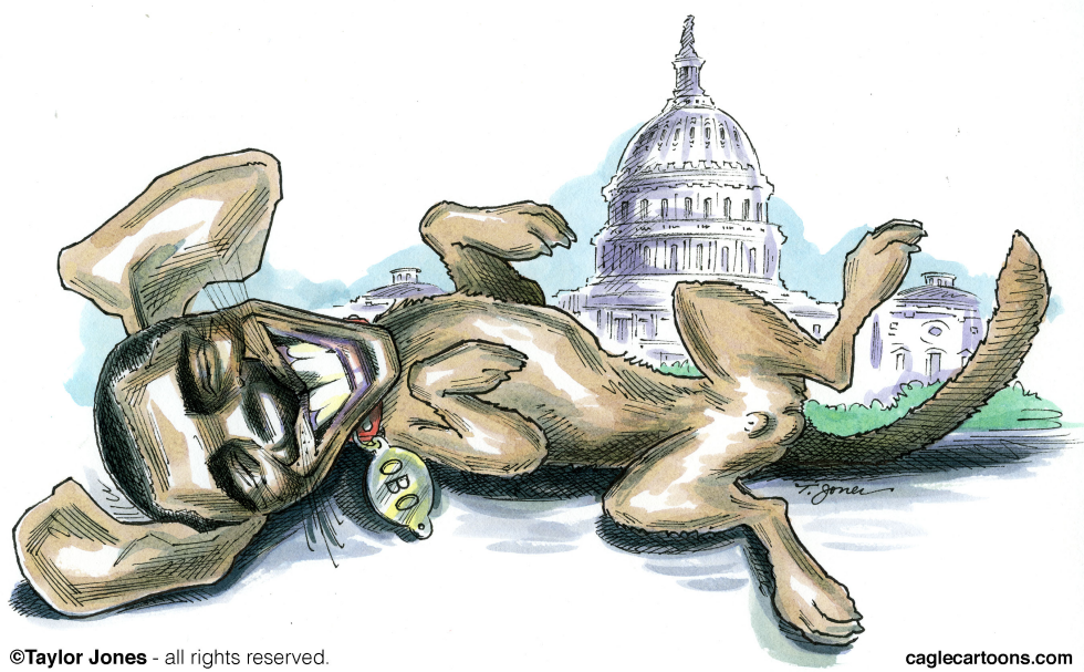 Obama - Republicans best friend - COLOR