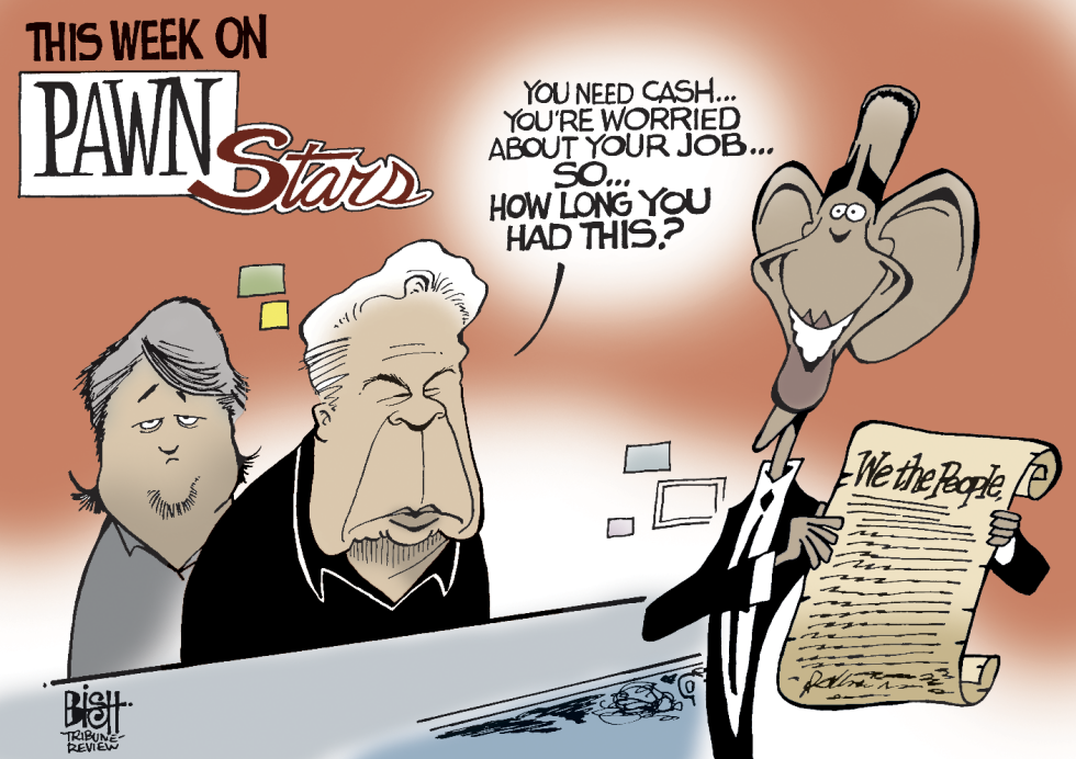 PAWNING THE CONSTITUTION, COLOR