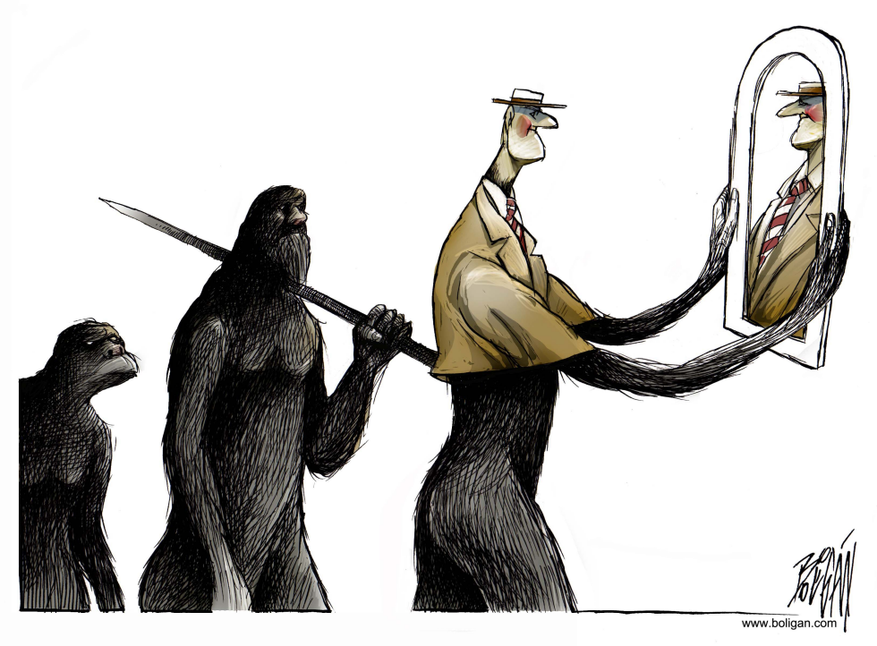 La evolución y la apariencia / COLOR