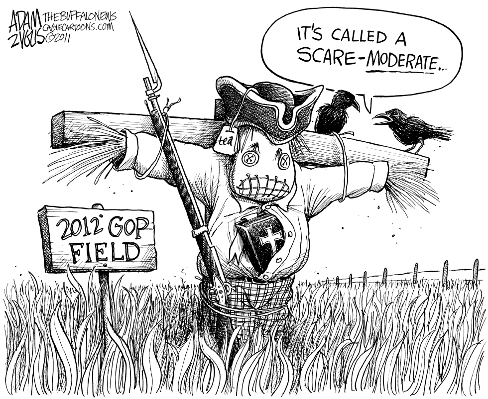 The GOP Field