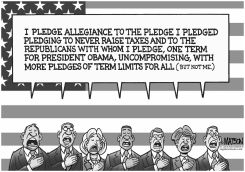 PLEDGE ALLEGIANCE by R.J. Matson