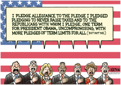 PLEDGE ALLEGIANCE by R.J. Matson