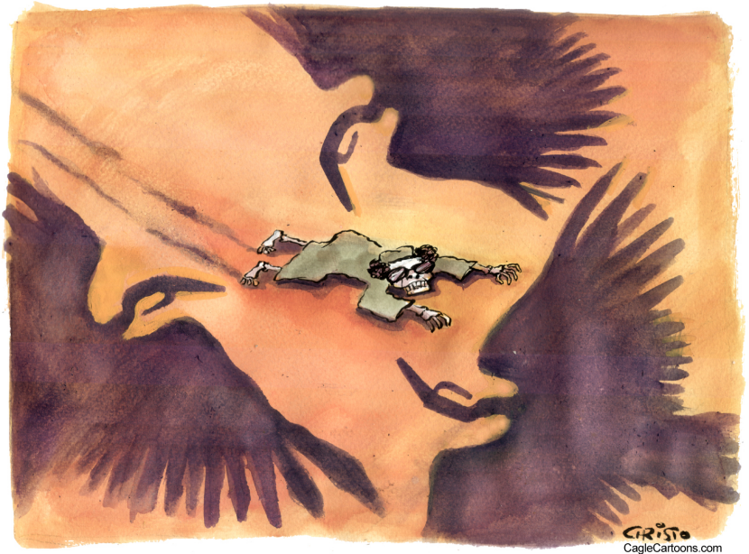 Vultures in the Libyan desert
