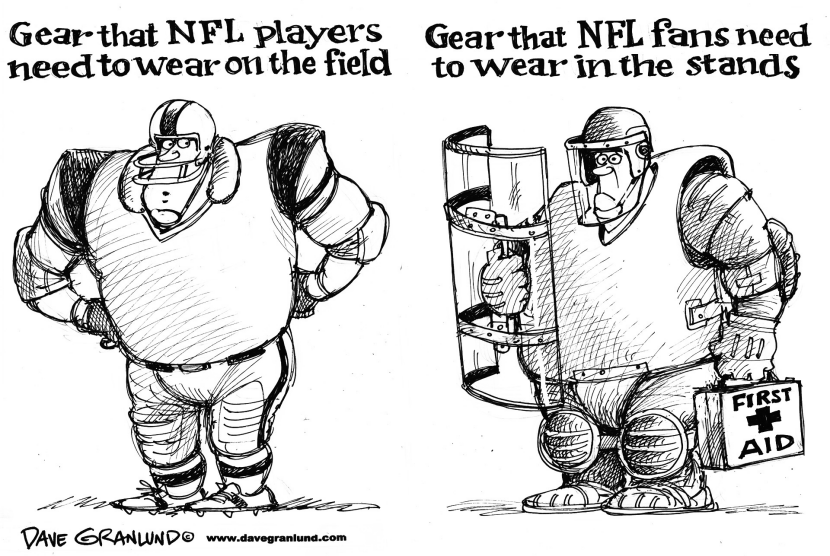 NFL fan violence