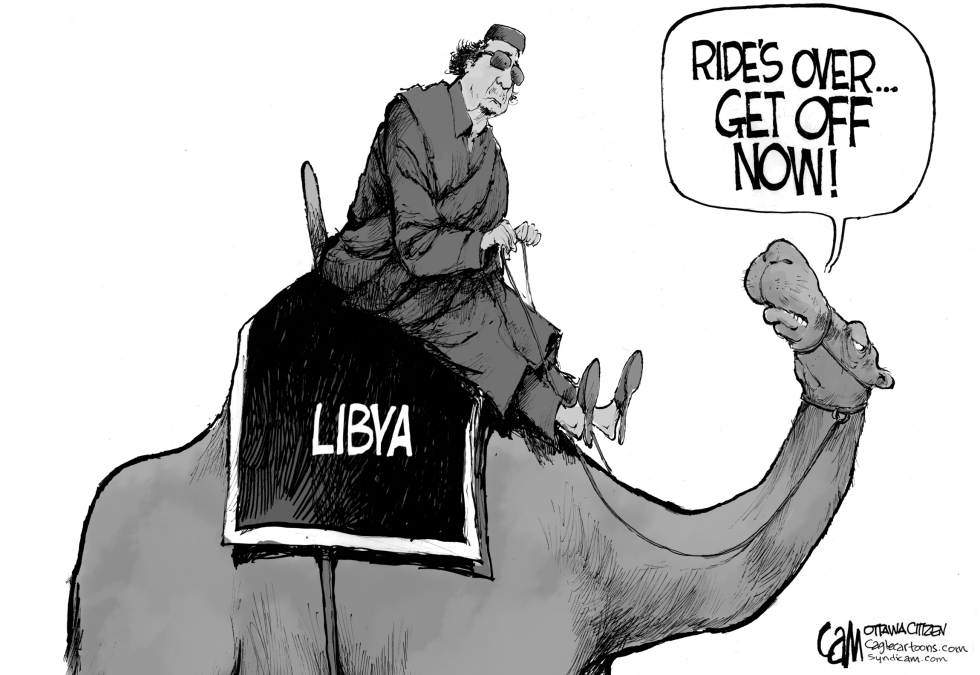 Camel