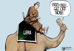 CAMEL  by Cam Cardow