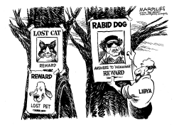 REWARD FOR GADHAFI CAPTURE by Jimmy Margulies