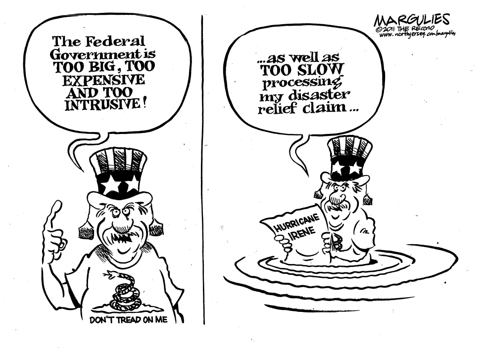Hurricane Irene Federal Disaster Relief