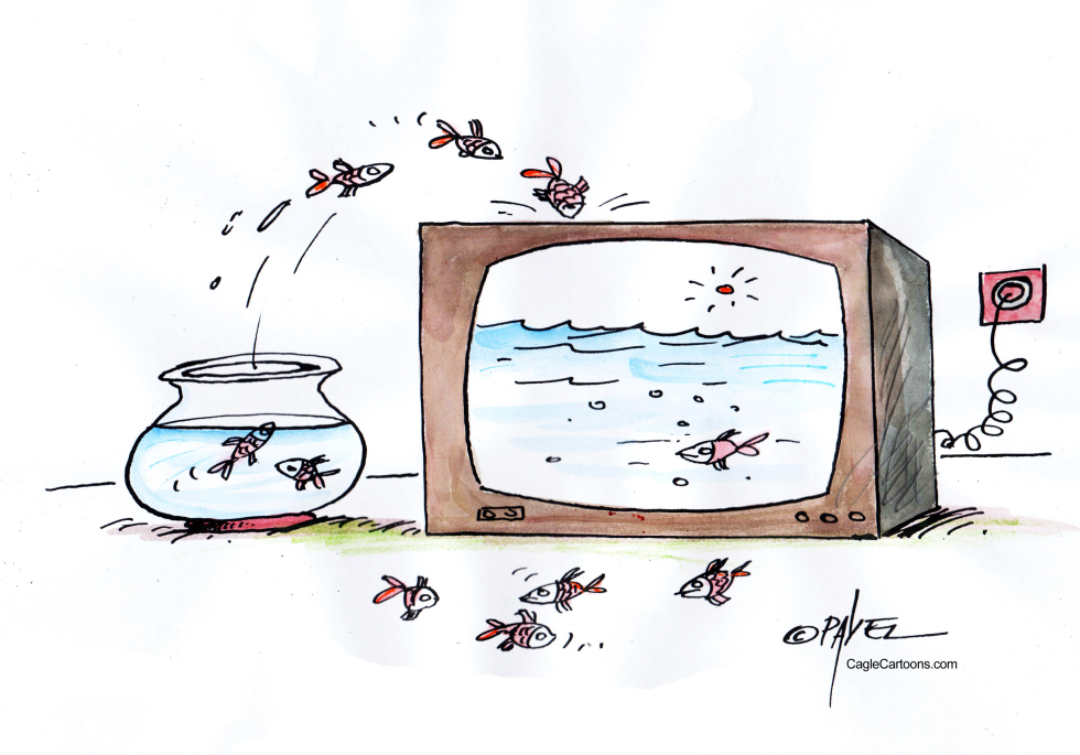 Media