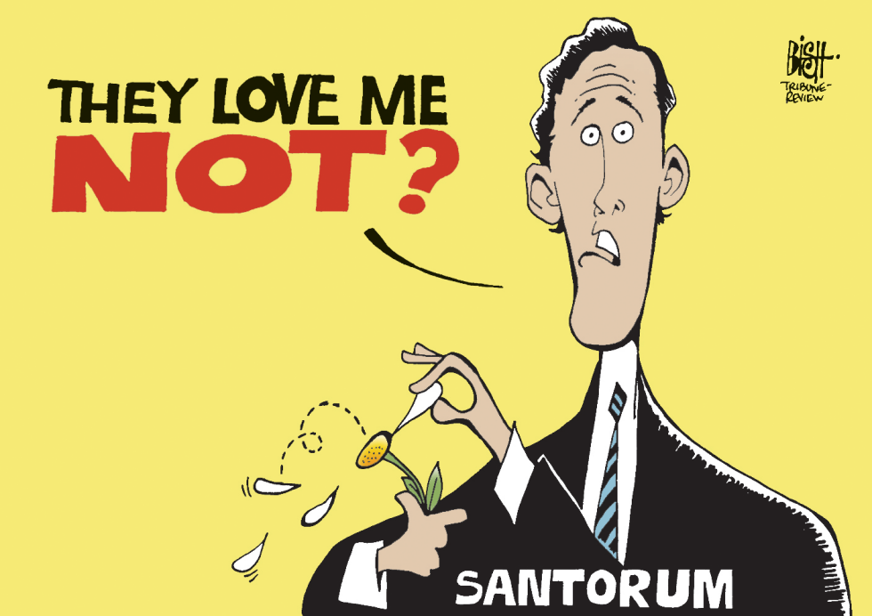 SANTORUM- LOOKING FOR LOVE, COLOR