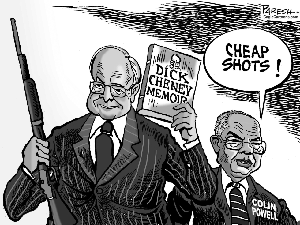 Dick Cheney's book