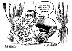 WEINER SEAT GOES REPUBLICAN by Jimmy Margulies