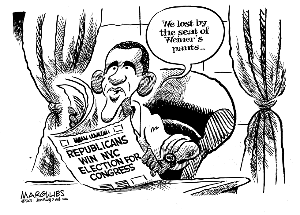 Weiner seat goes Republican