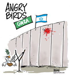 ANGRY BIRDS GAZA by Frederick Deligne