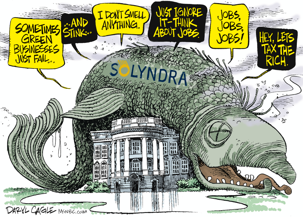  STINKY SOLYNDRA by Daryl Cagle