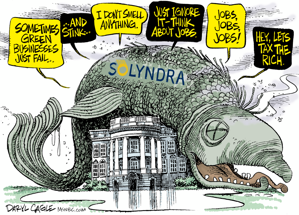 Stinky Solyndra COLOR