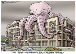 RISING HEALTH INSURANCE COSTS by R.J. Matson
