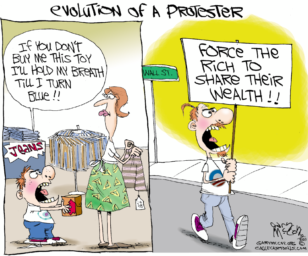 Wall St Protester COLOR
