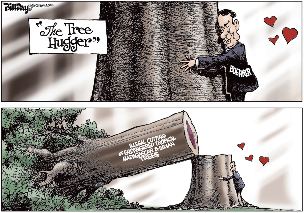 The Tree Hugger