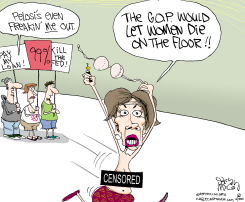 PROTESTER PELOSI  by Gary McCoy