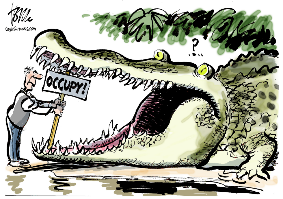 occupy movement