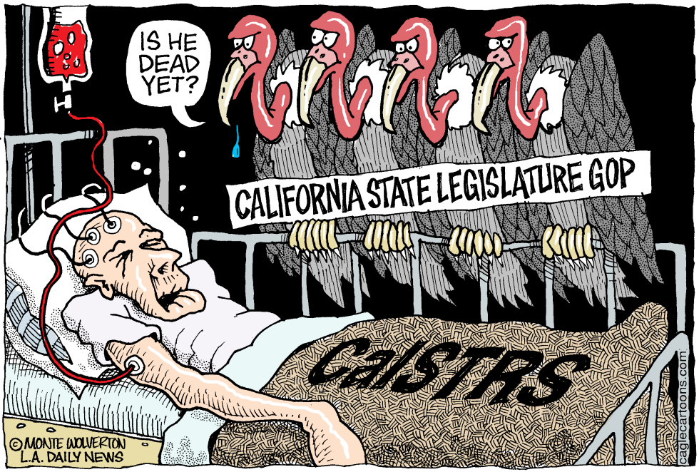 LOCAL-CA CalSTRS Vultures COLOR