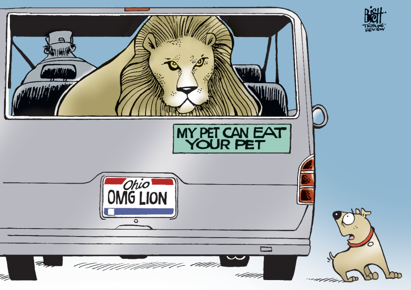 OHIO WILD ANIMALS, COLOR
