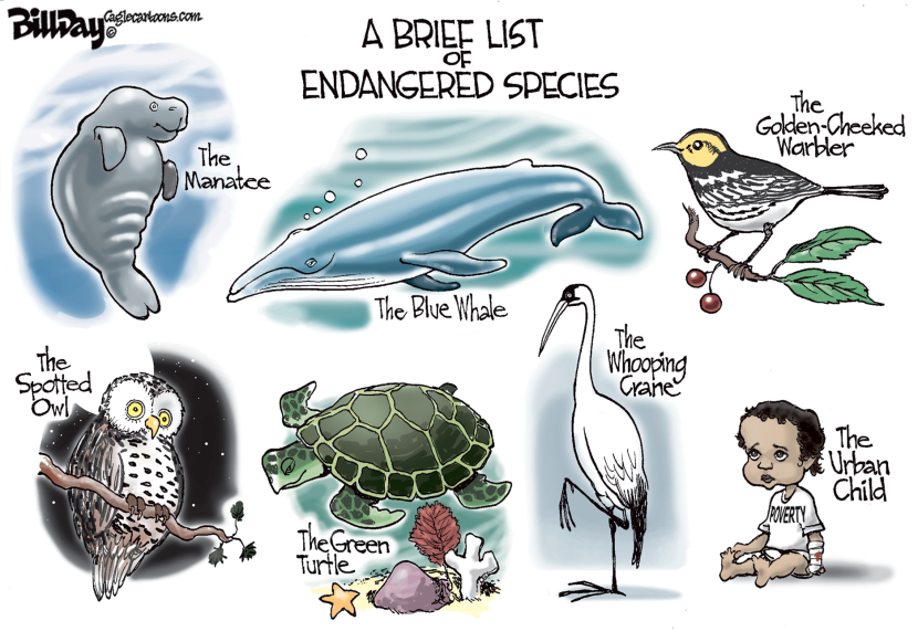 Endangered COLOR
