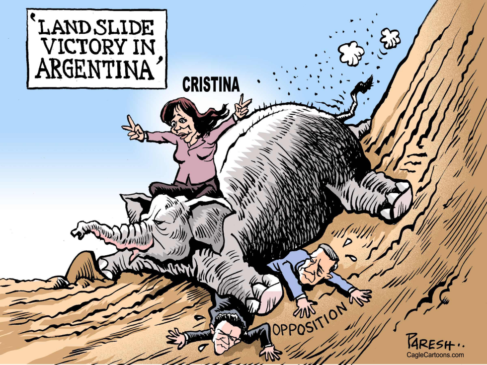  ARGENTINA LANDSLIDE by Paresh Nath