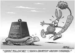 THE TORTOISE AND THE HARP by R.J. Matson